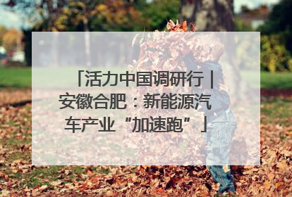 活力中国调研行｜安徽合肥：新能源汽车产业“加速跑”