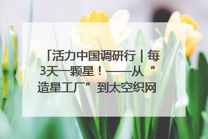 活力中国调研行｜每3天一颗星！——从“造星工厂”到太空织网的“银河速度”