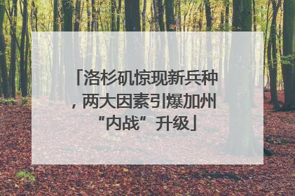 洛杉矶惊现新兵种，两大因素引爆加州“内战”升级