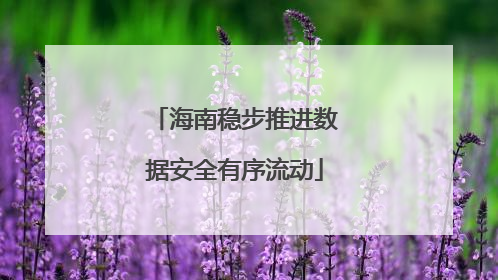 海南稳步推进数据安全有序流动
