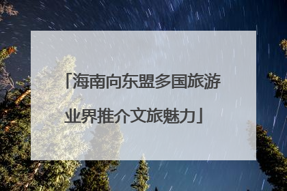 海南向东盟多国旅游业界推介文旅魅力