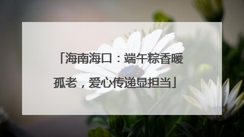海南海口：端午粽香暖孤老，爱心传递显担当