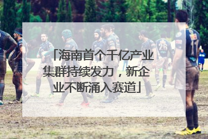海南首个千亿产业集群持续发力，新企业不断涌入赛道