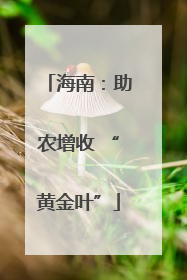 海南：助农增收 “黄金叶”