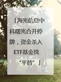 海光信息中科曙光合并停牌，资金杀入ETF基金找“平替”