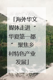 海外华文媒体走进“华夏第一都” 聚焦乡村特色产业发展