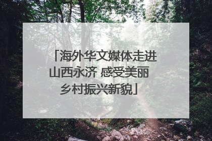 海外华文媒体走进山西永济 感受美丽乡村振兴新貌