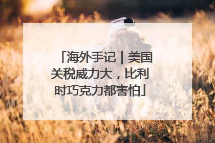 海外手记｜美国关税威力大，比利时巧克力都害怕