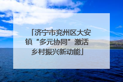 济宁市兖州区大安镇“多元协同”激活乡村振兴新动能