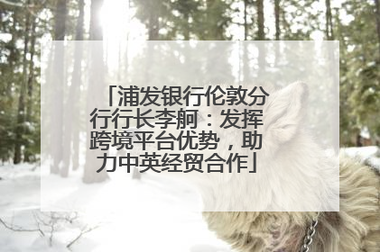 浦发银行伦敦分行行长李舸：发挥跨境平台优势，助力中英经贸合作