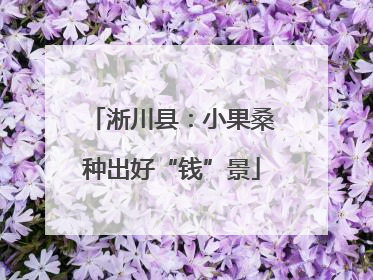 淅川县：小果桑种出好“钱”景