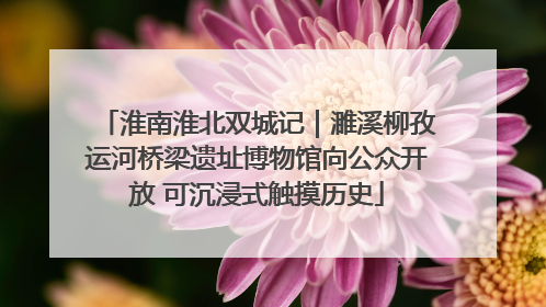 淮南淮北双城记｜濉溪柳孜运河桥梁遗址博物馆向公众开放 可沉浸式触摸历史