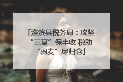 淮滨县税务局：攻坚“三夏”保丰收 税助“弱麦”尽归仓
