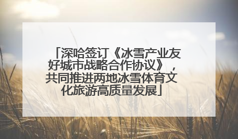 深哈签订《冰雪产业友好城市战略合作协议》，共同推进两地冰雪体育文化旅游高质量发展