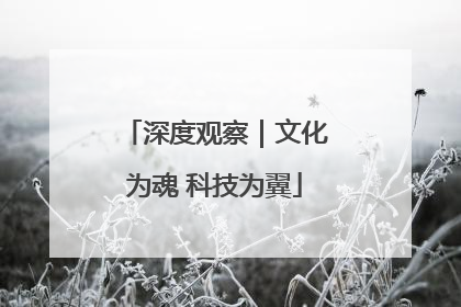 深度观察｜文化为魂 科技为翼