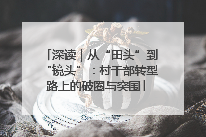 深读｜从“田头”到“镜头”：村干部转型路上的破圈与突围