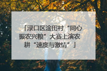 渌口区淦田村“同心振农兴粮”大赛上演农耕“速度与激情”
