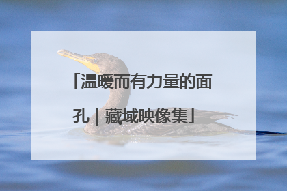 温暖而有力量的面孔｜藏域映像集