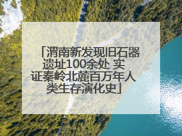 渭南新发现旧石器遗址100余处 实证秦岭北麓百万年人类生存演化史