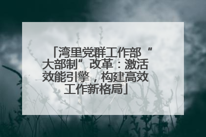 湾里党群工作部“大部制”改革：激活效能引擎，构建高效工作新格局