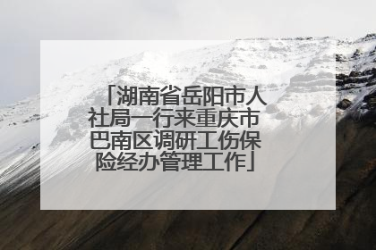 湖南省岳阳市人社局一行来重庆市巴南区调研工伤保险经办管理工作