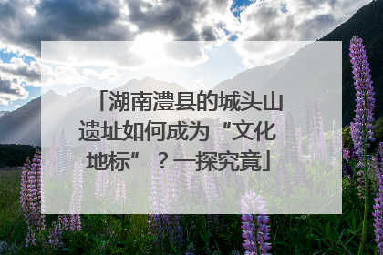 湖南澧县的城头山遗址如何成为“文化地标”？一探究竟
