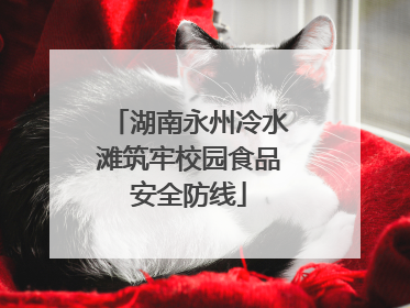湖南永州冷水滩筑牢校园食品安全防线
