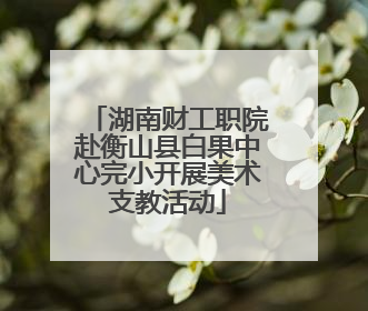 湖南财工职院赴衡山县白果中心完小开展美术支教活动