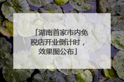湖南首家市内免税店开业倒计时，效果图公布