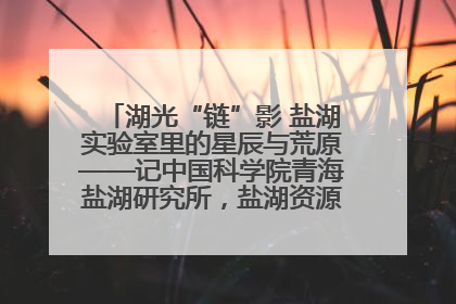 湖光“链”影 盐湖实验室里的星辰与荒原——记中国科学院青海盐湖研究所，盐湖资源化学实验室党总支书记、副主任刘忠