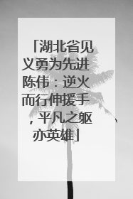 湖北省见义勇为先进陈伟：逆火而行伸援手，平凡之躯亦英雄