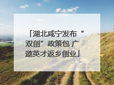 湖北咸宁发布“双创”政策包 广邀英才返乡创业