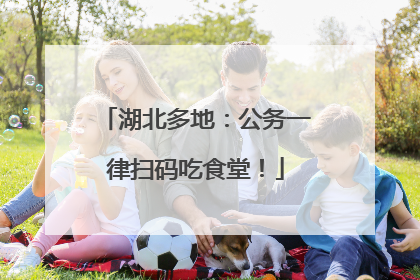 湖北多地：公务一律扫码吃食堂！