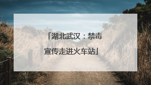 湖北武汉：禁毒宣传走进火车站