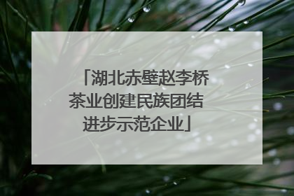 湖北赤壁赵李桥茶业创建民族团结进步示范企业