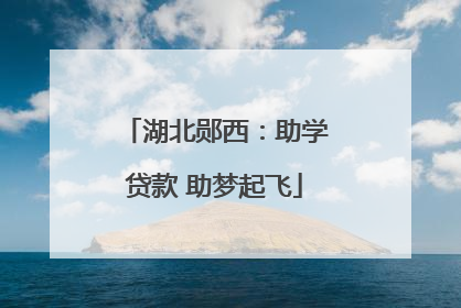 湖北郧西：助学贷款 助梦起飞