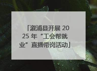 溆浦县开展 2025 年“工会帮就业”直播带岗活动