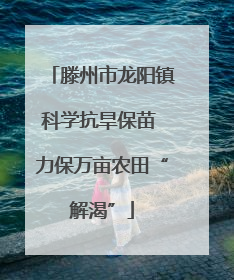 滕州市龙阳镇科学抗旱保苗 力保万亩农田“解渴”