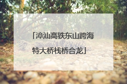 漳汕高铁东山跨海特大桥栈桥合龙