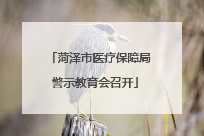 菏泽市医疗保障局警示教育会召开