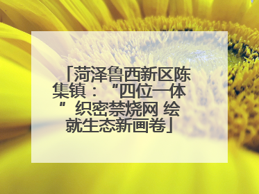 菏泽鲁西新区陈集镇：“四位一体”织密禁烧网 绘就生态新画卷