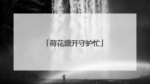 荷花盛开守护忙