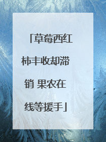 草莓西红柿丰收却滞销 果农在线等援手