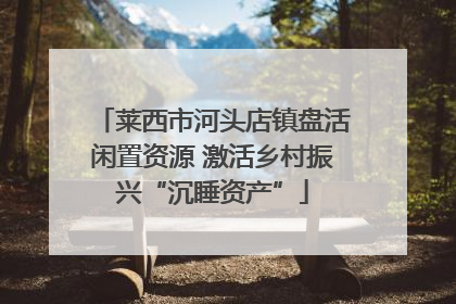 莱西市河头店镇盘活闲置资源 激活乡村振兴“沉睡资产”
