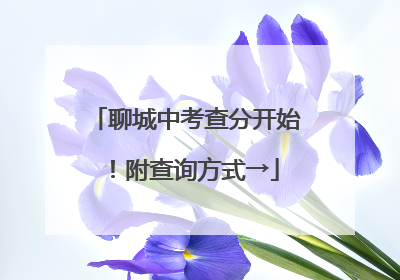 聊城中考查分开始！附查询方式→