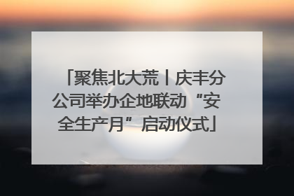 聚焦北大荒丨庆丰分公司举办企地联动“安全生产月”启动仪式