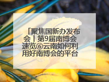 聚焦国新办发布会丨第9届南博会速览⑥云南如何利用好南博会的平台带动作用，深化与南亚国家的交流与合作？
