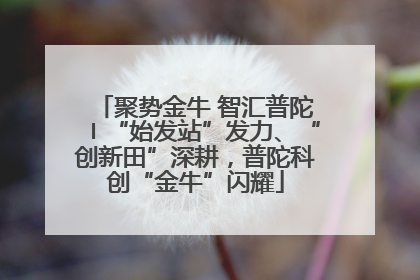 聚势金牛 智汇普陀〡“始发站”发力、“创新田”深耕，普陀科创“金牛”闪耀