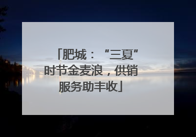 肥城：“三夏”时节金麦浪，供销服务助丰收