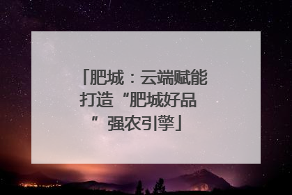 肥城：云端赋能 打造“肥城好品”强农引擎